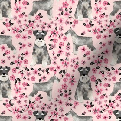 schnauzer dog fabric cherry blossom spring fabric - cute dog design - blossom pink