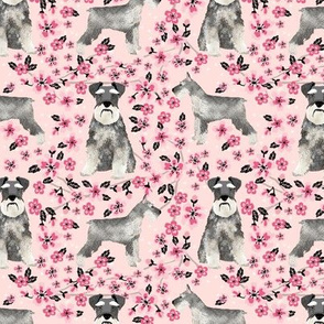 schnauzer dog fabric cherry blossom spring fabric - cute dog design - blossom pink