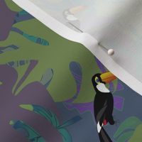 Toucans At Home in the Rainforest