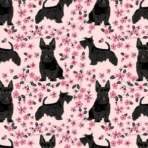 scottie dog dog fabric cherry blossom spring fabric - cute dog design - blossom pink