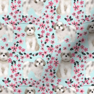 shih tzu dog fabric cherry blossom spring fabric - cute dog design - lite blue