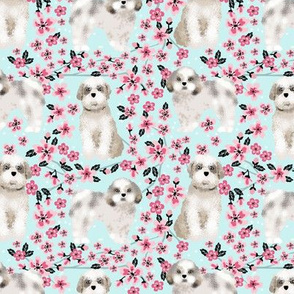 shih tzu dog fabric cherry blossom spring fabric - cute dog design - lite blue