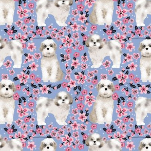 shih tzu dog fabric cherry blossom spring fabric - cute dog design - cerulean