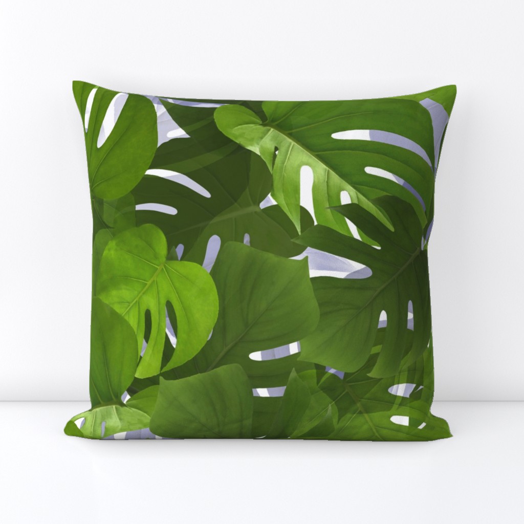 Jungle Leaves - Green Monstera Leaf Big Size