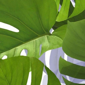 Jungle Leaves - Green Monstera Leaf Big Size