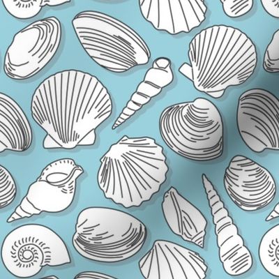 seashells-mixed