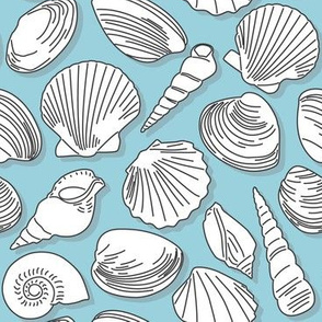 seashells-mixed