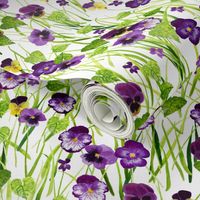 Pansies White