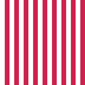 Bright Flag - One Inch Stripes