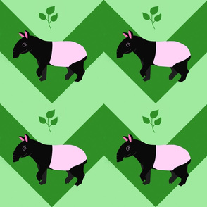 Tapir Chevron