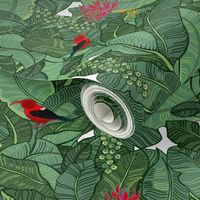 Hawaiian Rainforest I'iwi Bird Sighting