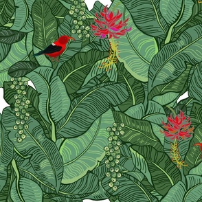Bucketfeet Rainforest Animals Fabric, Wallpaper and Home Decor | Spoonflower