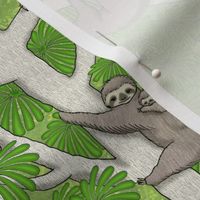 Rainforest Sloths