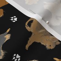 Trotting long coat Chihuahuas and paw prints - black