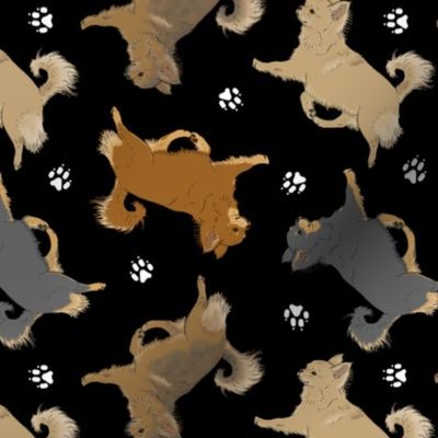 Trotting long coat Chihuahuas and paw prints - black