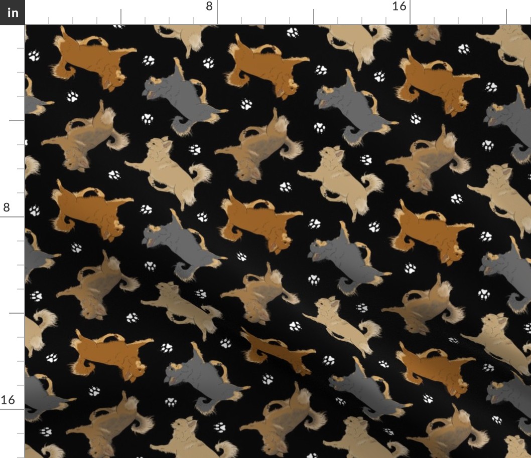 Trotting long coat Chihuahuas and paw prints - black