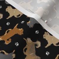 Tiny Trotting long coat Chihuahuas and paw prints - black