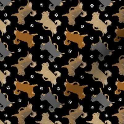 Tiny Trotting long coat Chihuahuas and paw prints - black