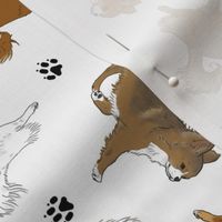 Trotting long coat Chihuahuas and paw prints B - white