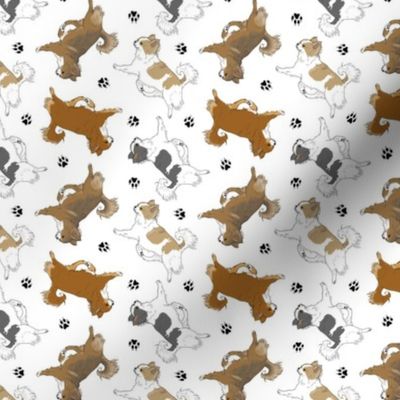 Tiny Trotting long coat Chihuahuas and paw prints B - white