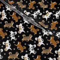 Tiny Trotting long coat Chihuahuas and paw prints B - black