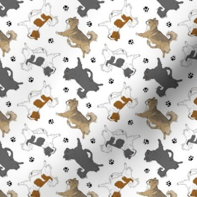 Tiny Trotting long coat Chihuahuas and paw prints C - white