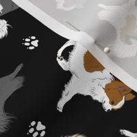 Trotting long coat Chihuahuas and paw prints C - black