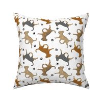 Trotting smooth coat Chihuahuas and paw prints - white