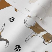 Trotting smooth coat Chihuahuas and paw prints B - white