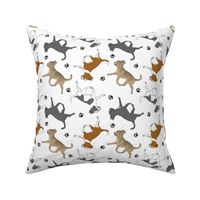 Trotting smooth coat Chihuahuas and paw prints C - white