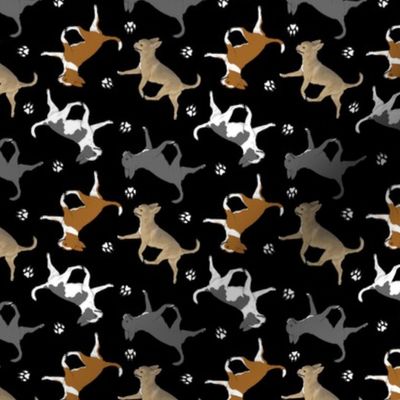 Tiny Trotting smooth coat Chihuahuas and paw prints C - black