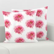 Pink Peony Micro Mosaic Tile on White