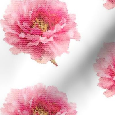 Pink Peony Micro Mosaic Tile on White