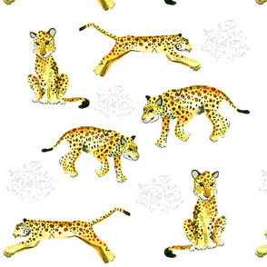 Jaguars