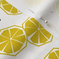 Lemon slices - geometric lemon tropical fruit tropical summer 