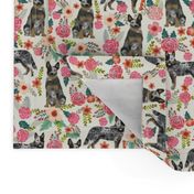 Australian Cattle Dog florals cream