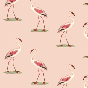 Flamingo Blush