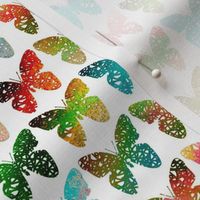 Bright + colorful butterflies of the rainforest by Su_G_©SuSchaefer