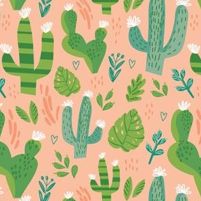 Cacti Mix 4 - Peach