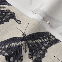 Giant Swallowtail Butterfly Colored Pencil
