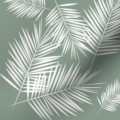 palm leaf palm leaves palm tree - jade smokey green