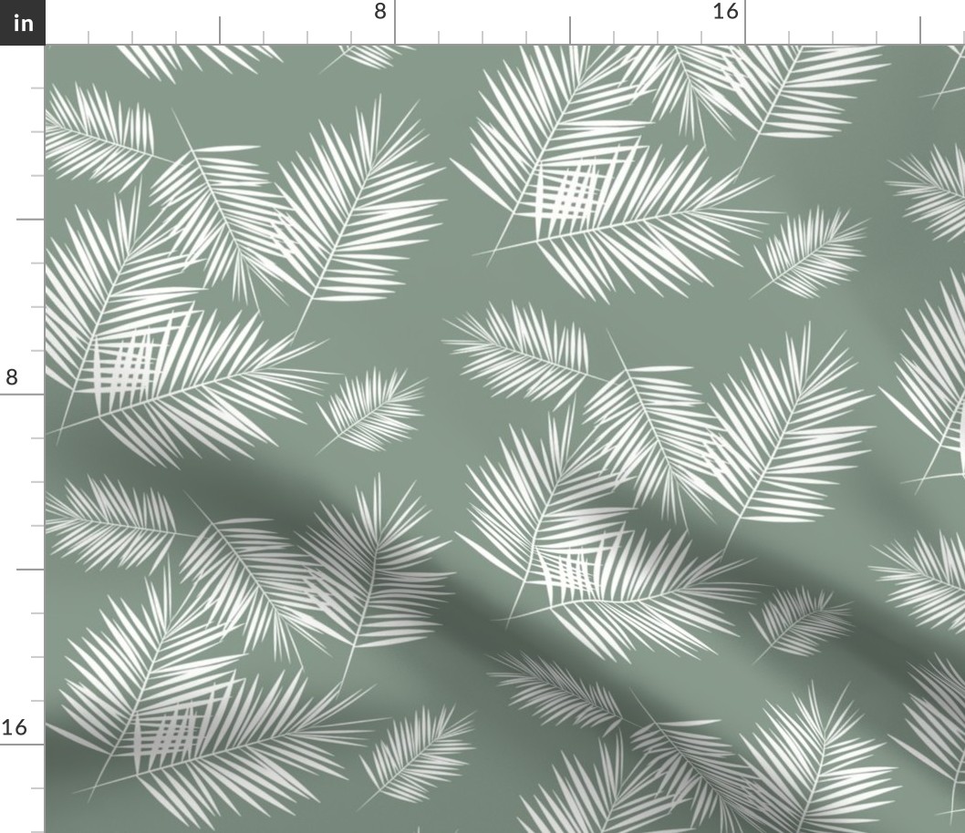 palm leaf palm leaves palm tree - jade smokey green