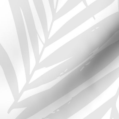 palm leaves LARGE light grey fronds 