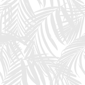 palm leaves LARGE light grey fronds 