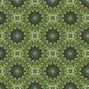 Green kaleidoscope stars