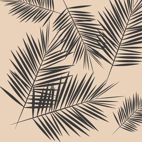 palm leaves -graphite on nude palm leaf palm tree tropical