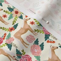 Palomino Horse fabric florals horses cream