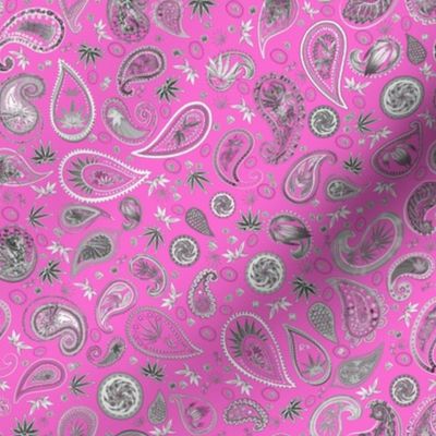 420 Hiphop Paisley Pink