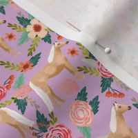 Horse florals fabric - palomino horse fabric cute horse florals fabric design