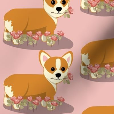 coral corgi_and_roses